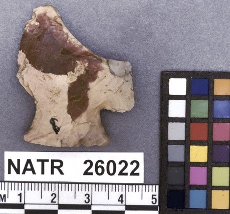 NATR   26022 -- Untyped projectile point