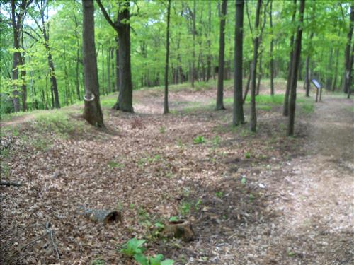 Landscape Amenities with CCCWV