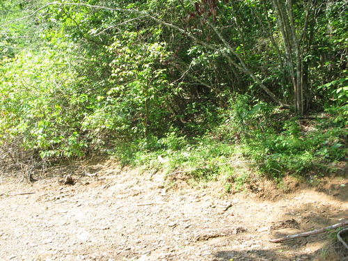 GRSM Accuracy Assessment. Plot Code: GRSM_AA_0179_2