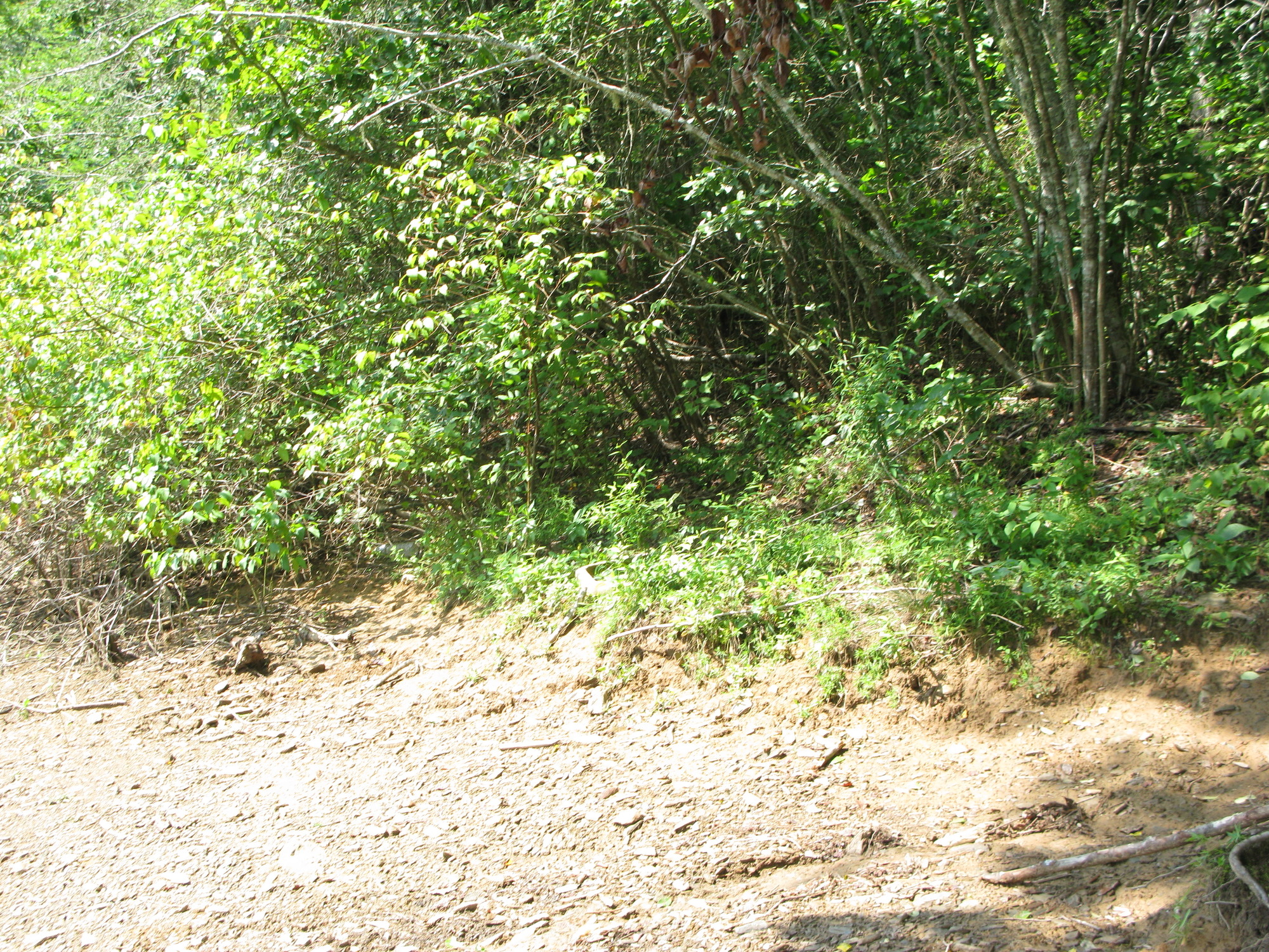 GRSM Accuracy Assessment. Plot Code: GRSM_AA_0179_2