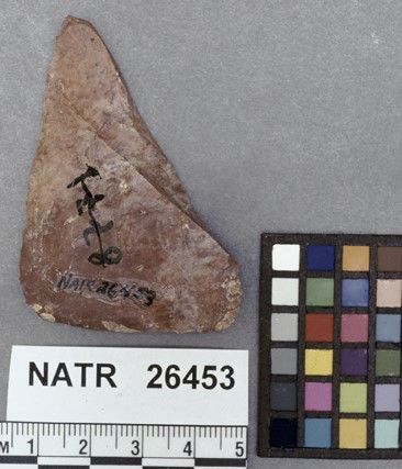 NATR   26453 -- Untyped projectile point
