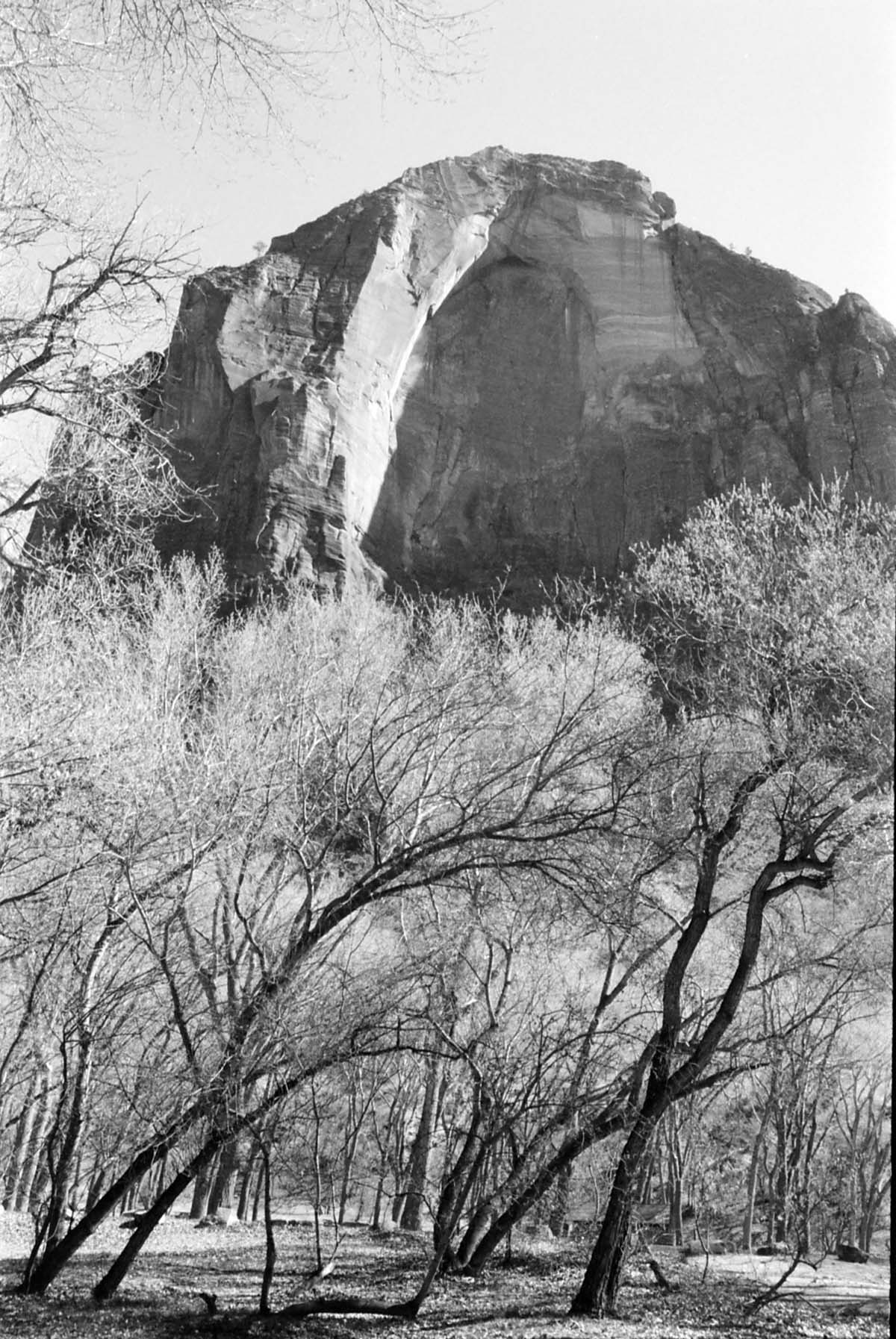 BW Photos of Lady Mountain - 35mm.