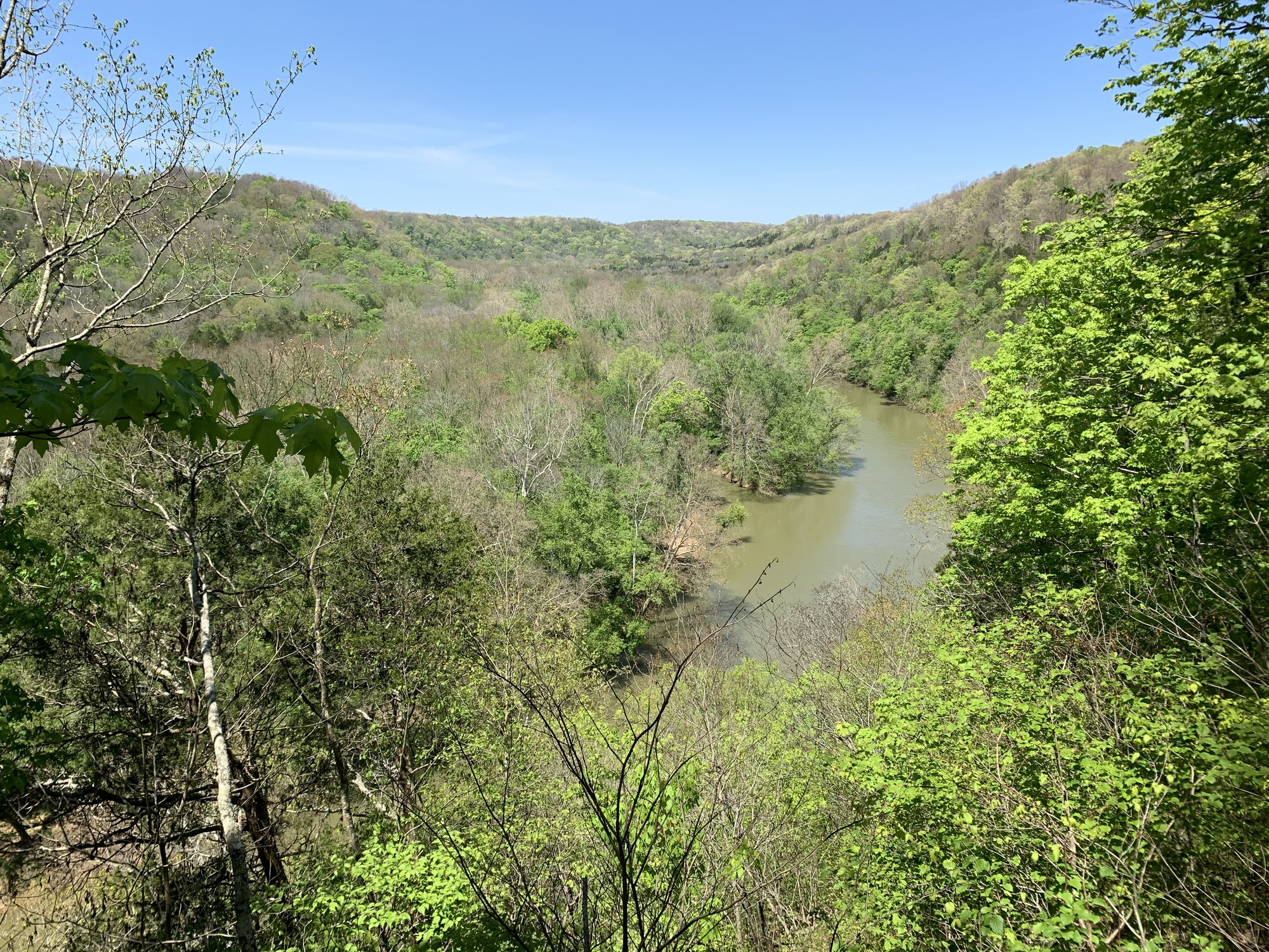 A river valley with new green leaves growing on the trees. 