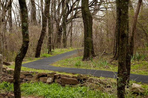 A portion of the Carver Trail with a crumb rubber surface. 