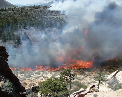 Lee Valley Prescribed Fire