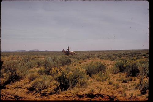 Views at Pipe Spring National Monument, Arizona