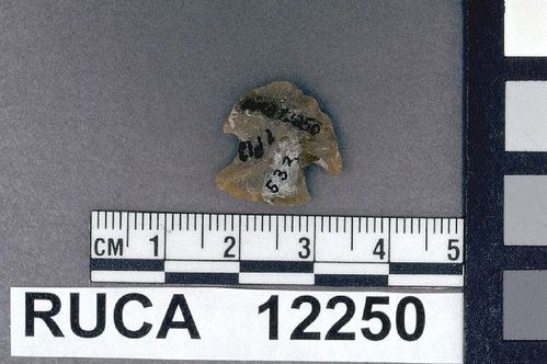 RUCA   12250 -- Point, Projectile