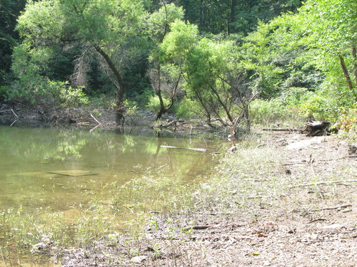 GRSM Accuracy Assessment. Plot Code: GRSM_AA_0179_6