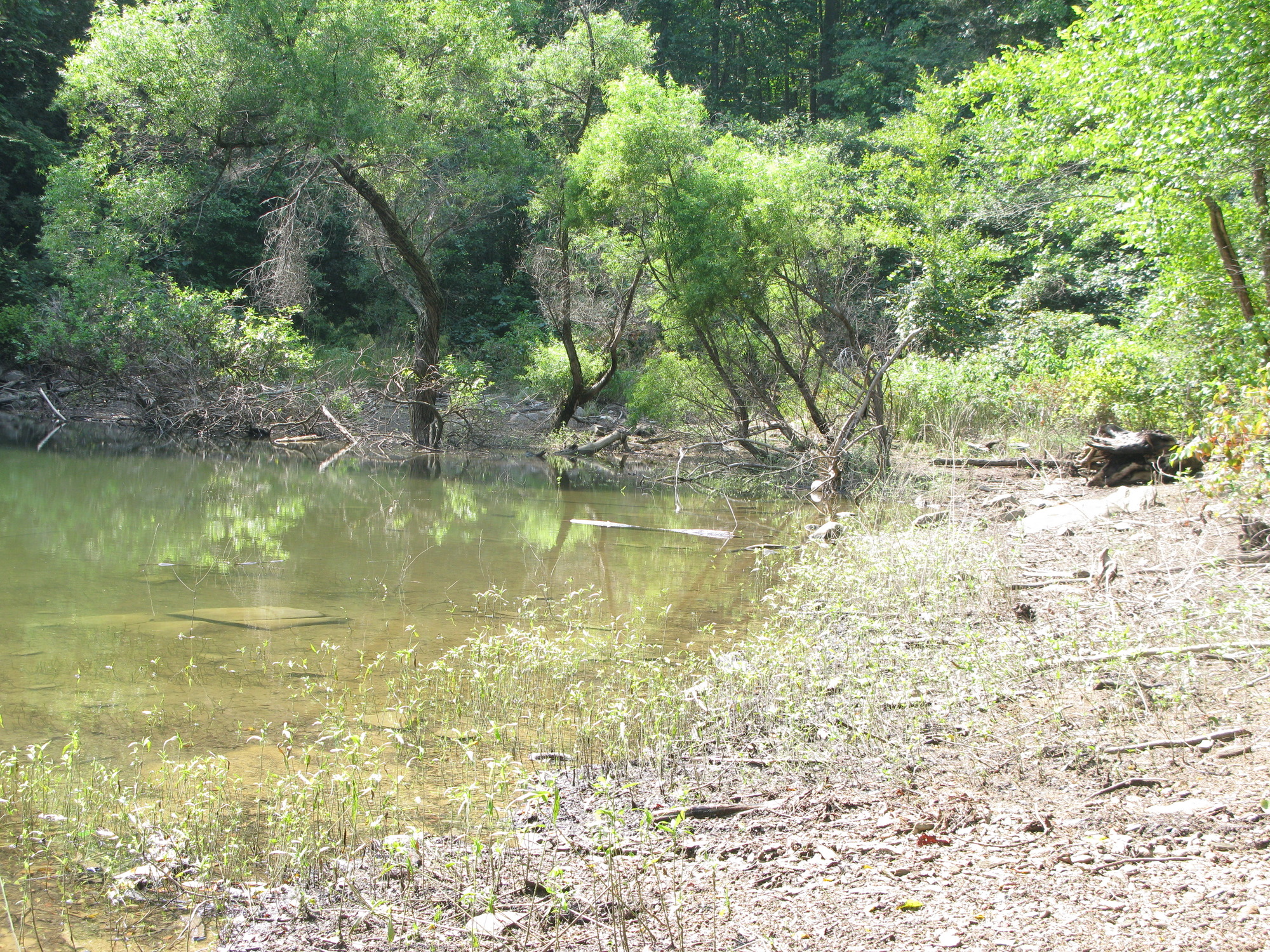 GRSM Accuracy Assessment. Plot Code: GRSM_AA_0179_6