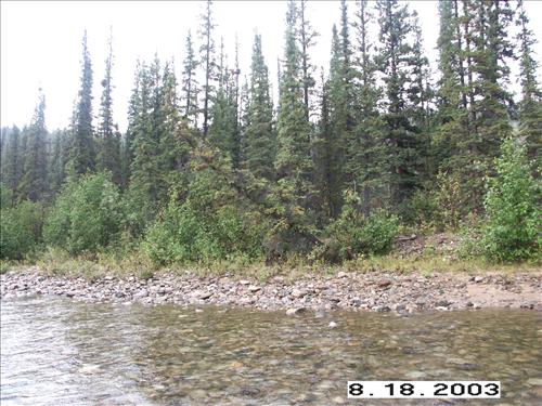 Copper Creek, Yukon-Charley Rivers, 2003