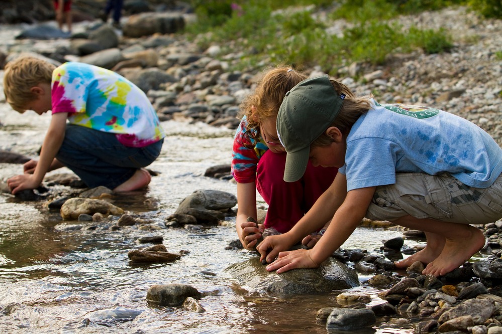 young children exploring a shallow creek
