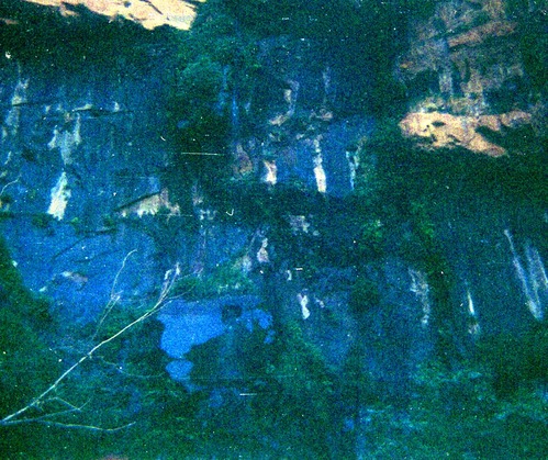 The Temple of Sinawava spring project - scaffolding construction and use.