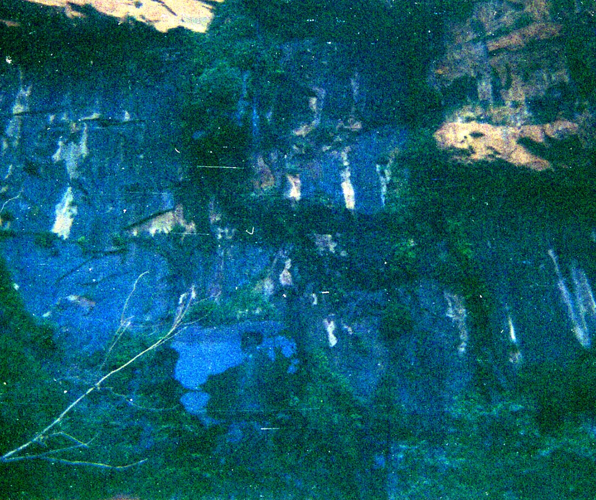 The Temple of Sinawava spring project - scaffolding construction and use.