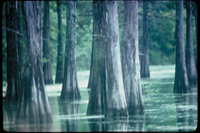 Arkansas Post National Memorial, Arkansas. In 1686, Henri de Tonti established a trading post known as 