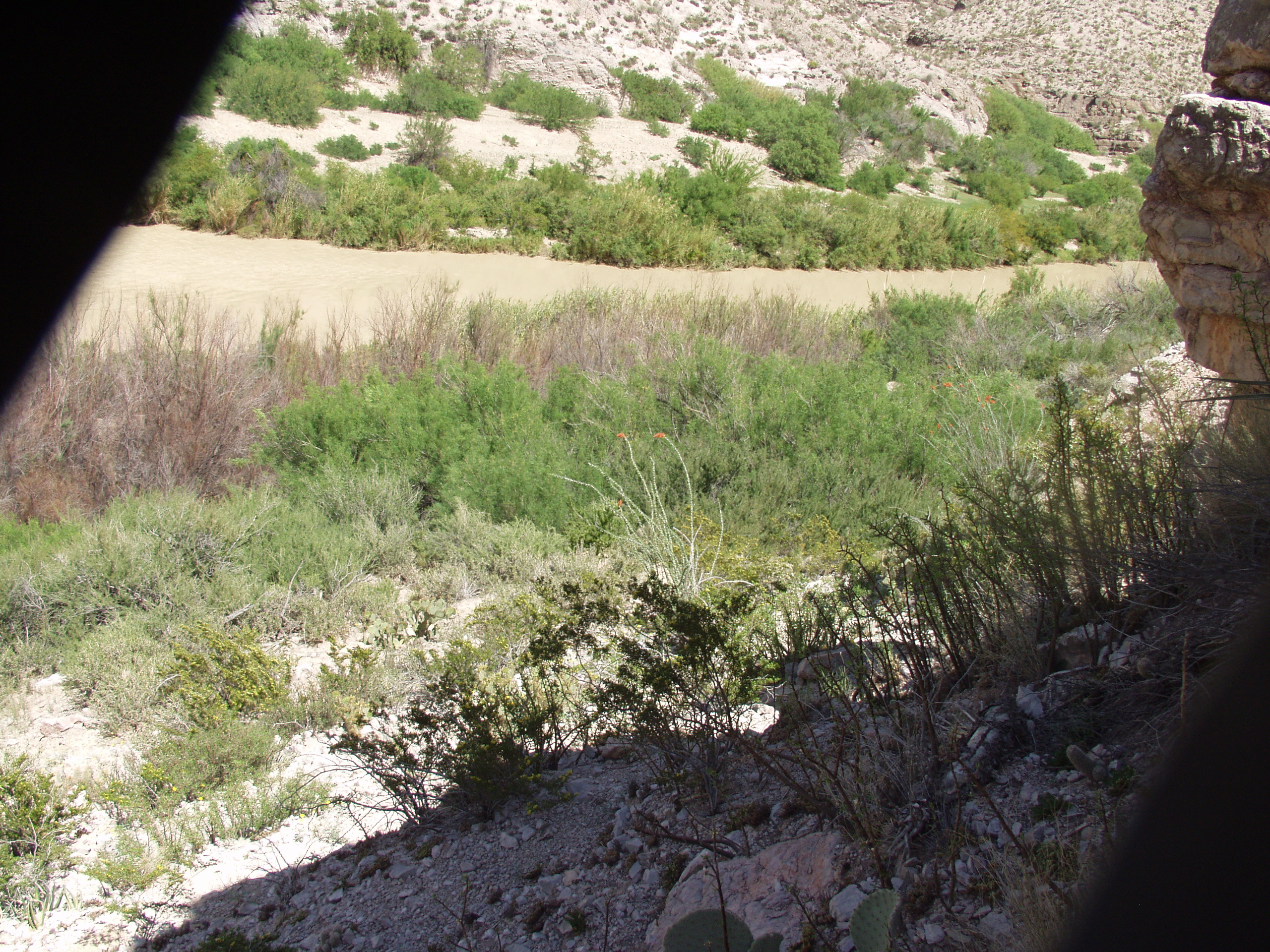 Photo of the Rio Grande