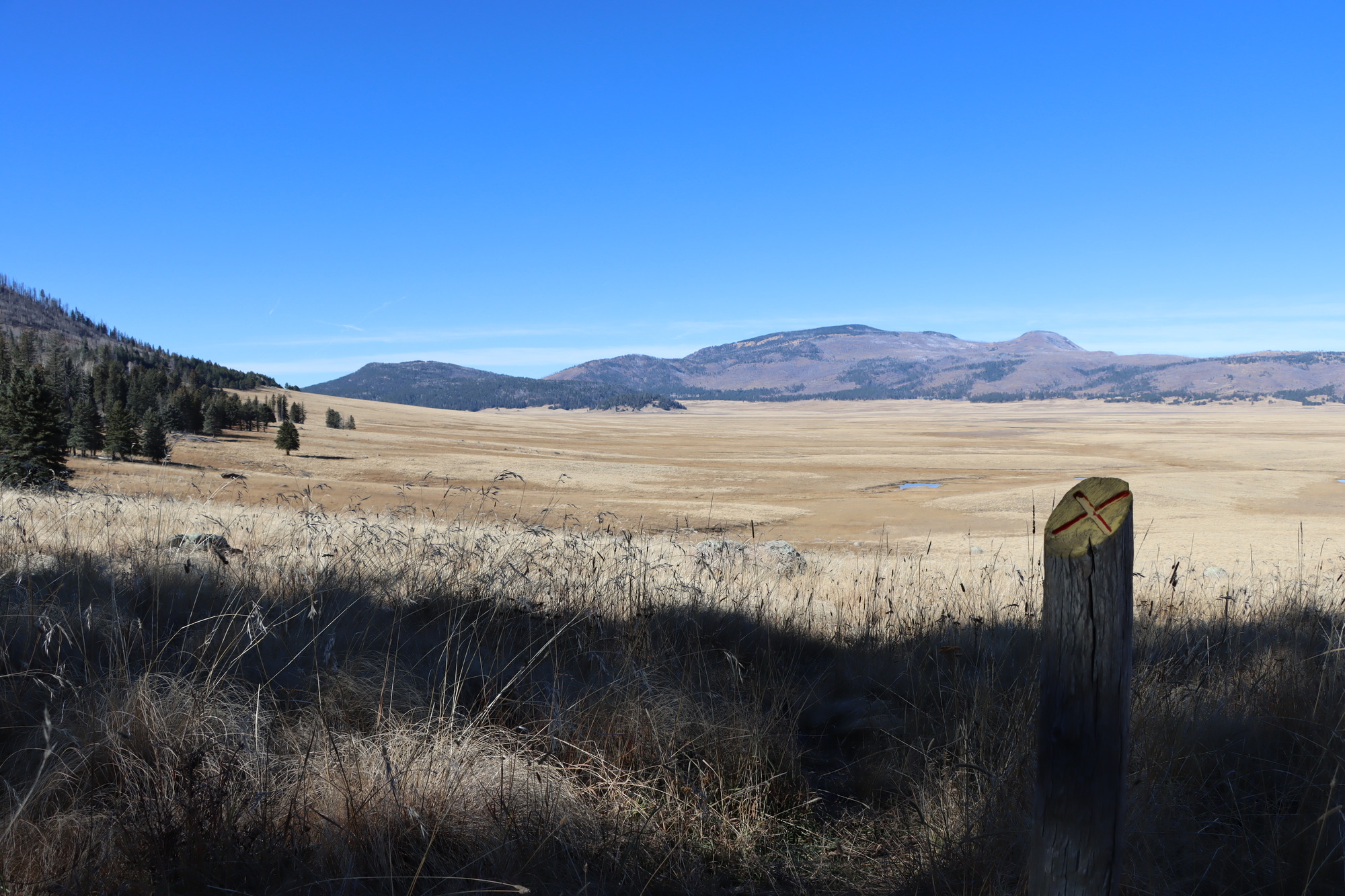 A wooden post with a red "X" on it at the edge of a vast montane grassland.