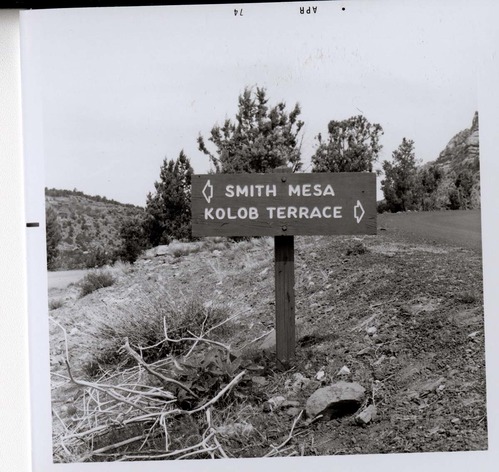 Road sign reading 'Smith Mesa' to the left and 'Kolob Terrace' to the right.