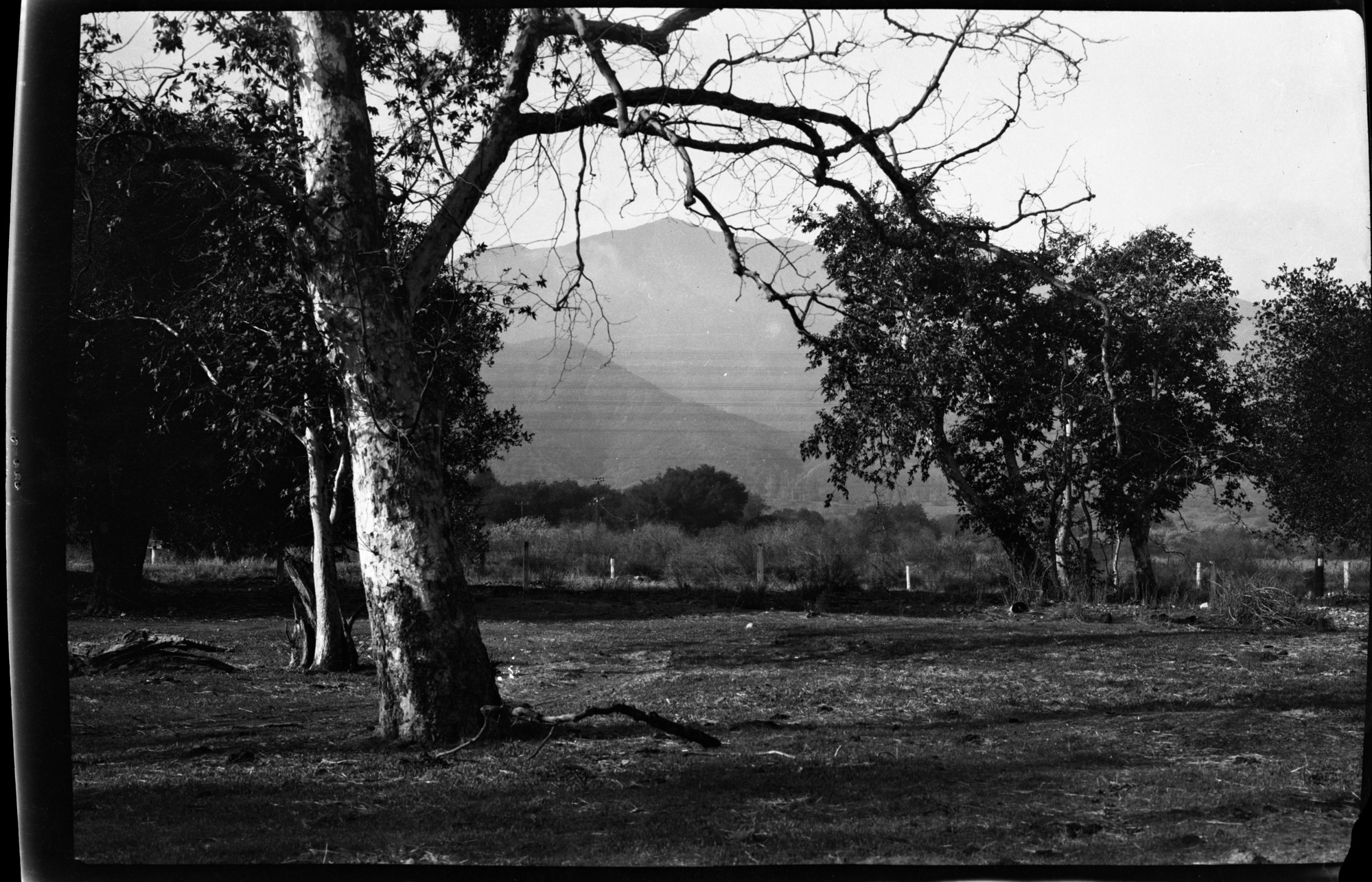 SEKI Roberts Collection Series: 2 Negatives; 5 Foothills