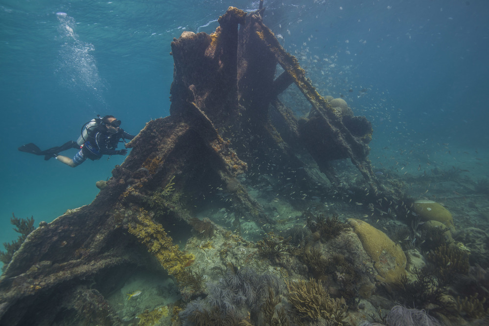 Diver on a section of shipwreck