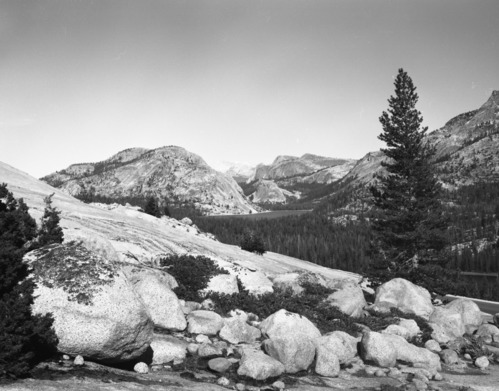 Lake Tenaya from Tioga Road. Auto Tour illustration.