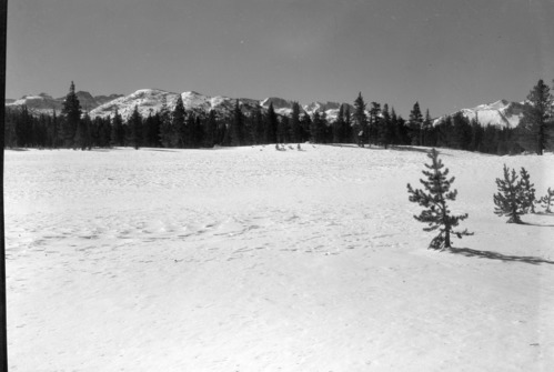 View from Tioga Road