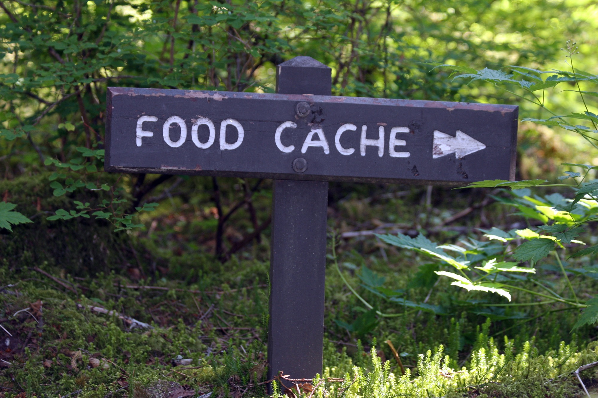 A small sign sticks out the ground. It has the words "Food Cache" engraved on it. It indicated the direction to the cache.
