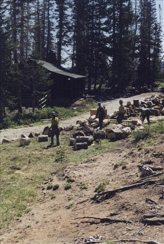 NPS Fire Use Modules Perform Emergency            Fuel Reduction Treatments at Cedar Breaks National Monument, June 2002