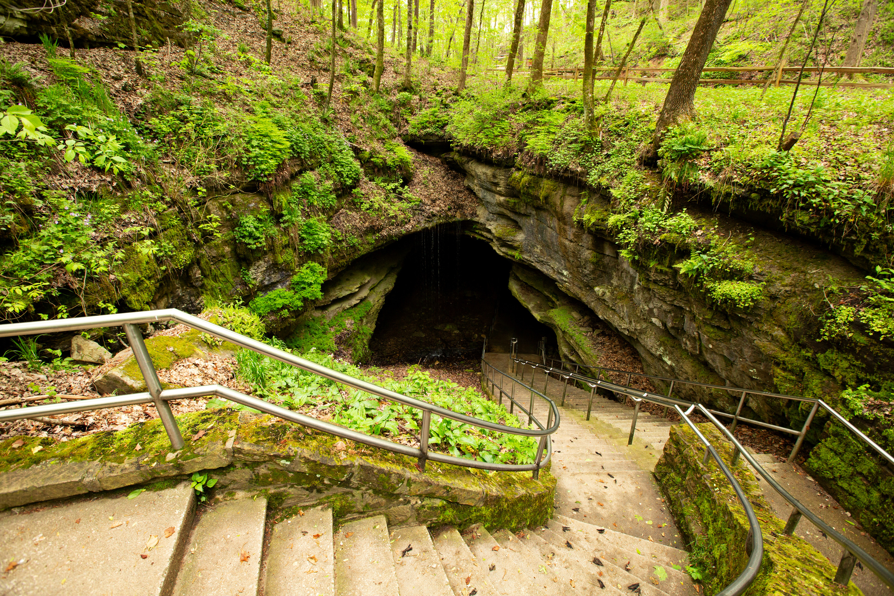 A long staircase leads into the entrance of a cave opening. 