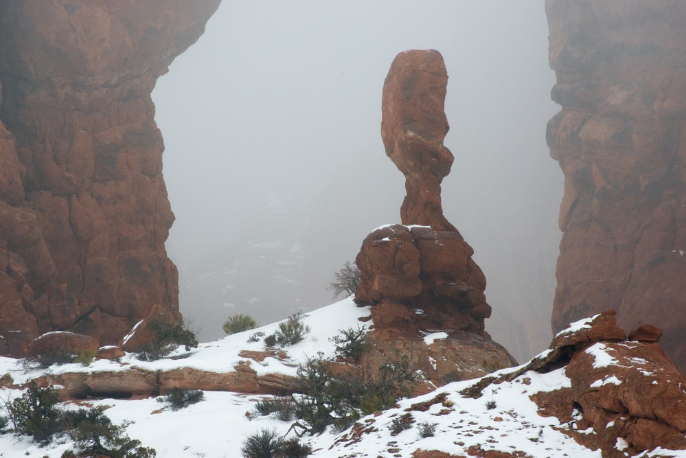 Fog in the Garden of Eden.