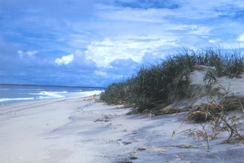 Assateague Island National Seashore beach, 1.2MB