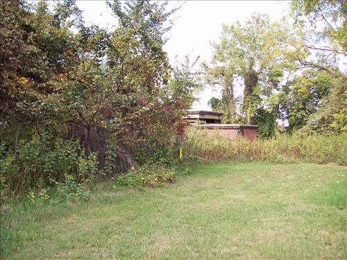 FOWA-Existing Conditions at Fort Washington Park, October 15, 2008