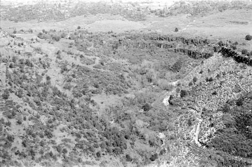 BW photo of the 1937 grazing study 35MM. Photo of road into Lee Spring.