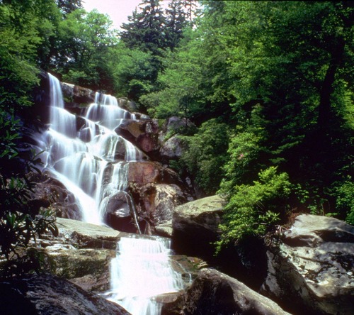Ramsey Cascades, at 100 feet high, is the tallest waterfall in the park.