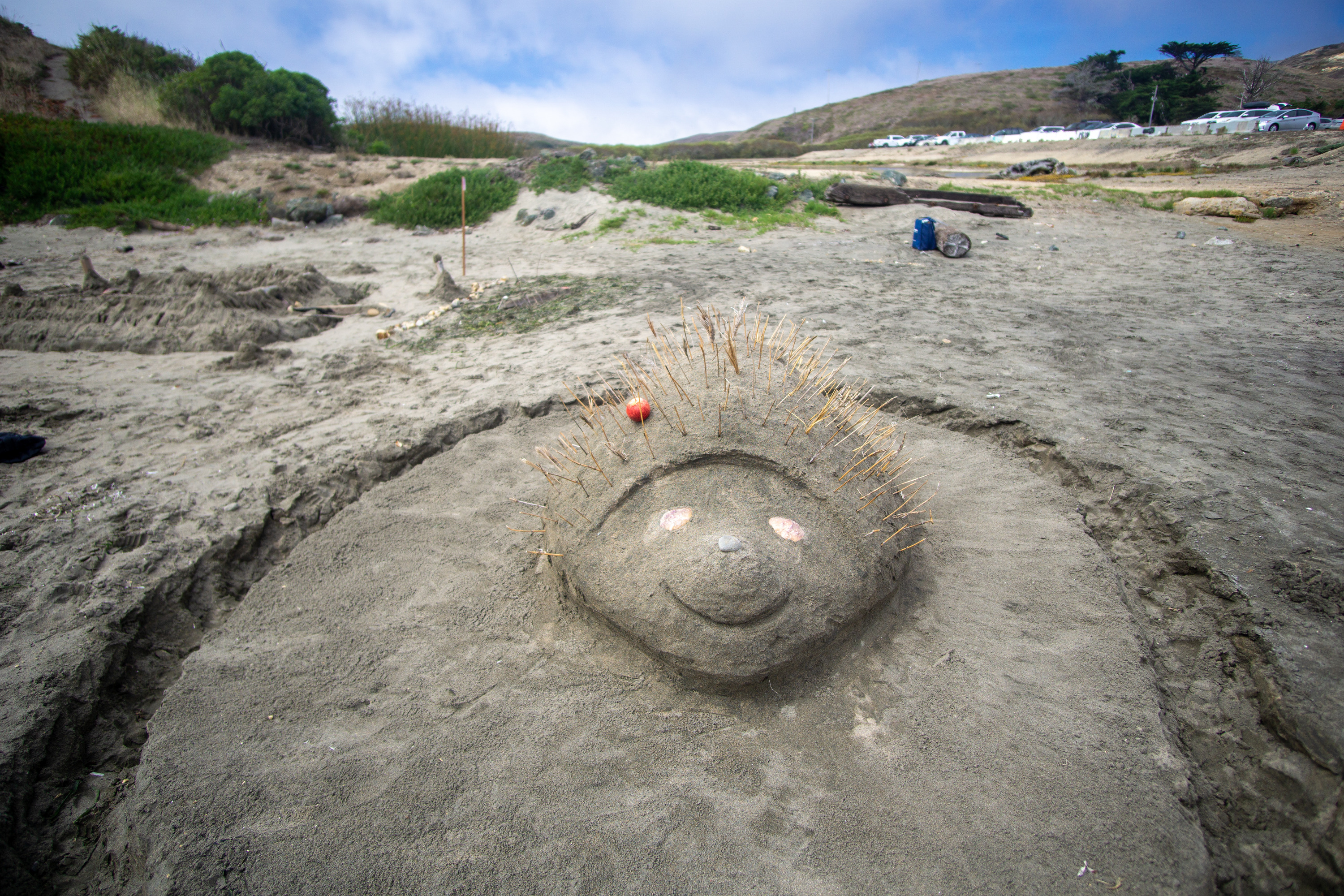 A sand sculpture of a hedgehog with crab shells for eyes and sticks for spines.