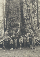 Theodore Roosevelt (center) poses with other gentlemen in front of the “Grizzly Giant,” the oldest sequoia tree at Mariposa Grove, Yosemite National Park.