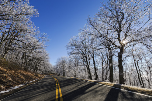 Paved road edged by ice-covered trees, an impossibly blue sky, and the burst of the sun.