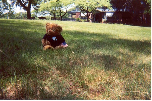 Nat enjoys the view from the piazza.