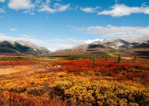 orange and red landscape leading up to brown and snow-capped mountains