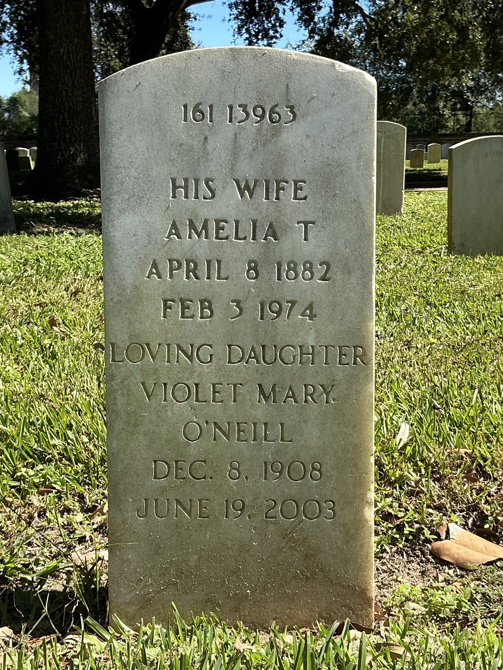 Back of historic upright marble headstone with incised shield face.