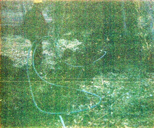 The Zion Lodge utilities project.