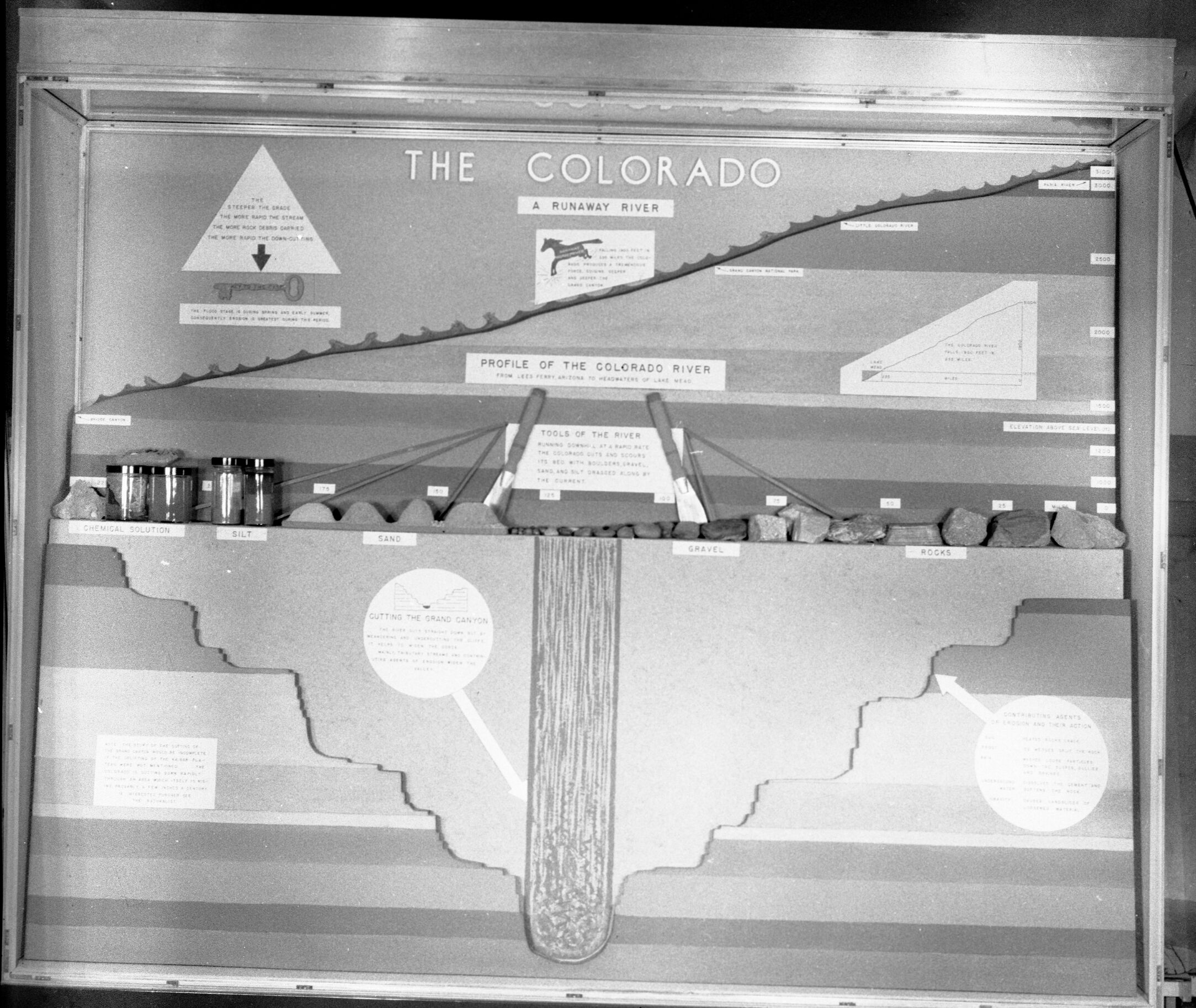 Museum Exhibit "The Colorado" (River)