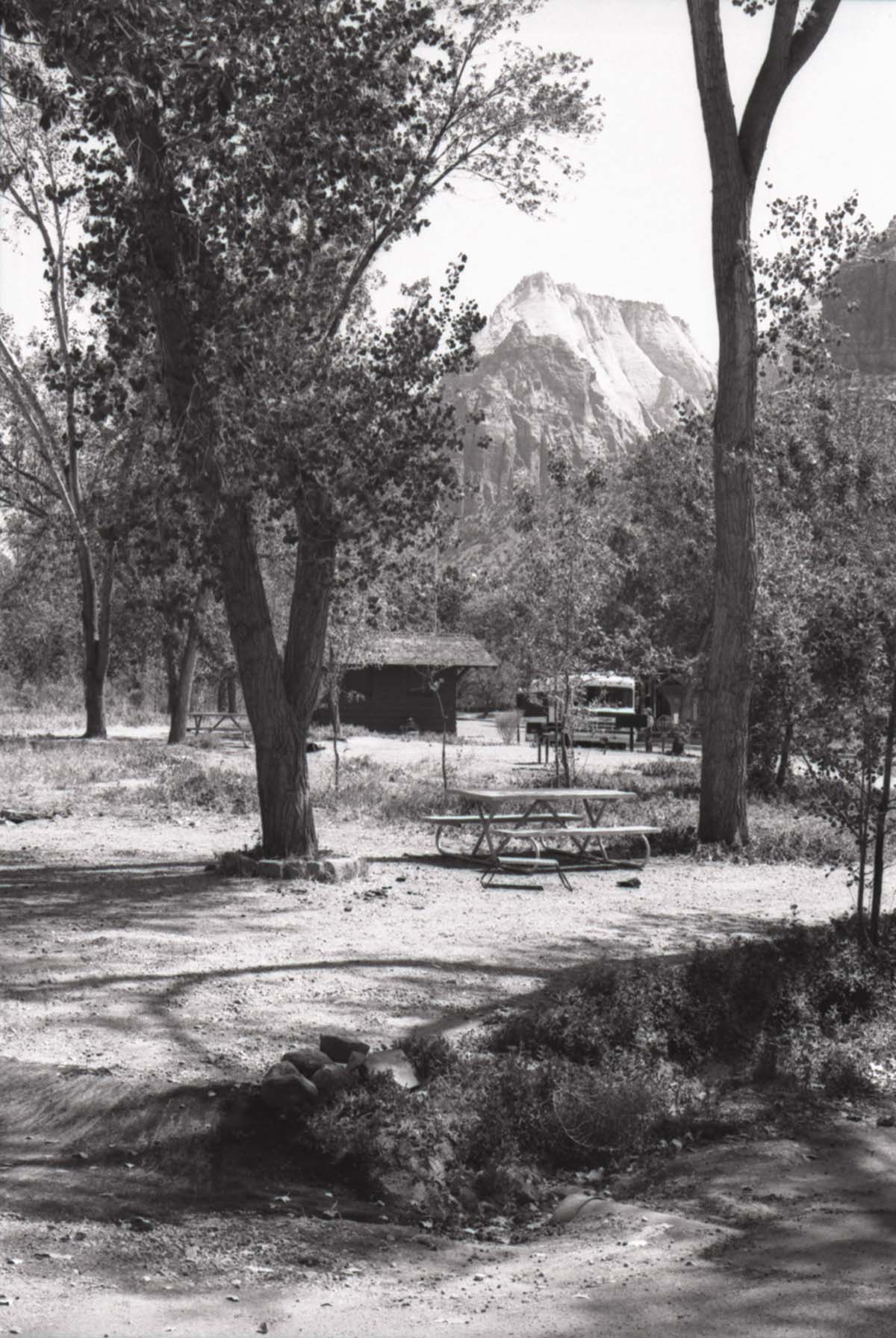 Campsites at the South Campground.