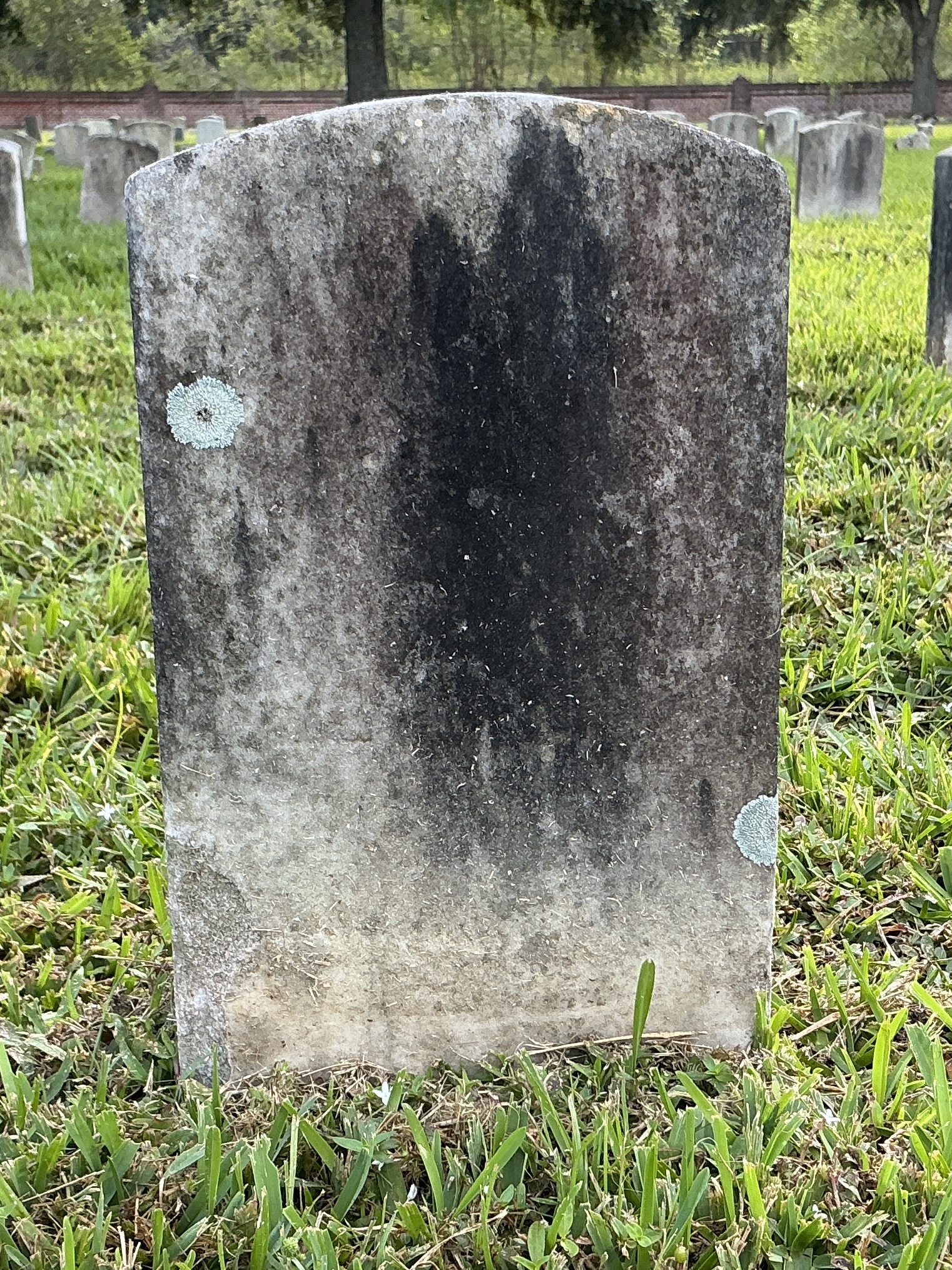 Back of historic upright marble headstone with recessed shield face.