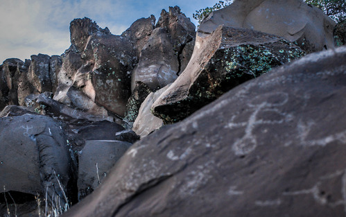 Clusters of petroglyphs set in basalt rocks.