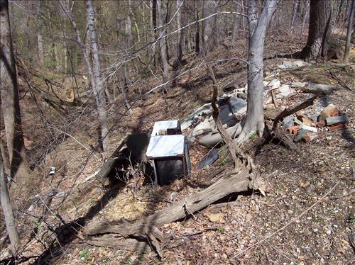 FOWA-Dumping in Area C at Fort Washington Park, April 9, 2009