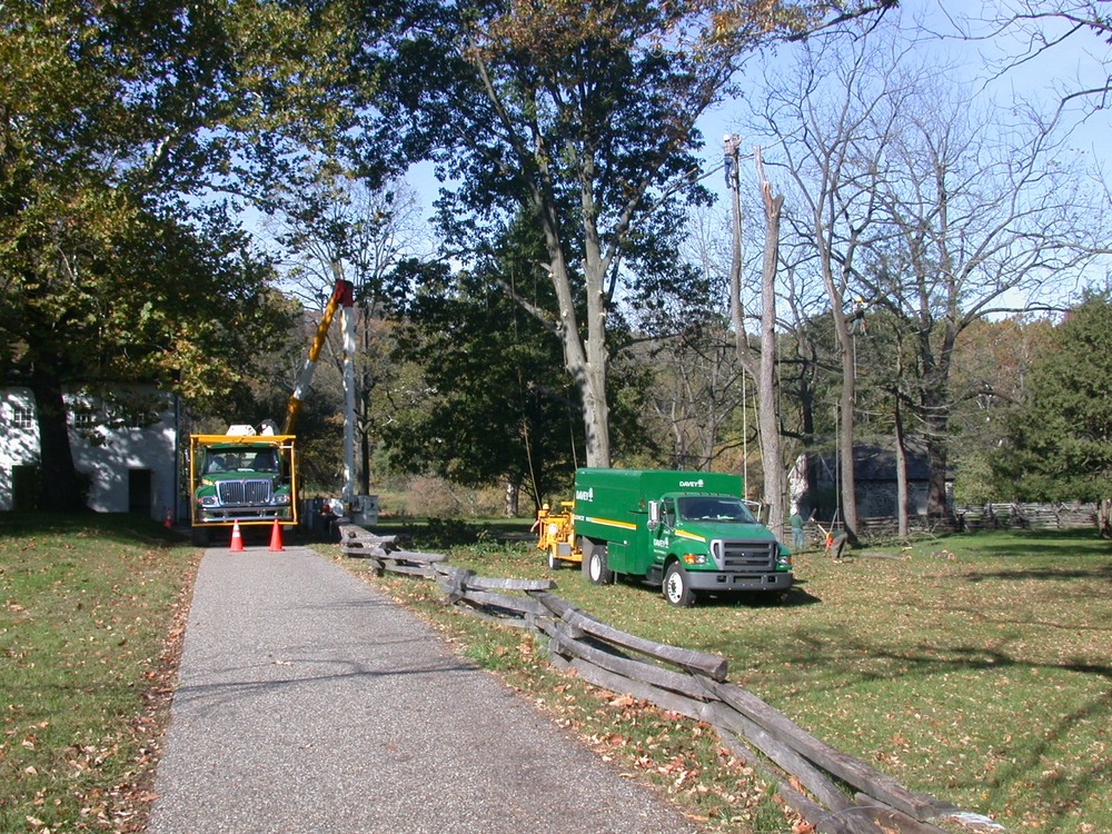 Construction crews removing tree stumps at General Washington's Headquarters. This construction is Phase I of a rehabilitation project for the area.