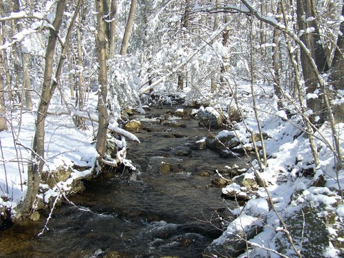 Distillery Run in the winter with light snow.