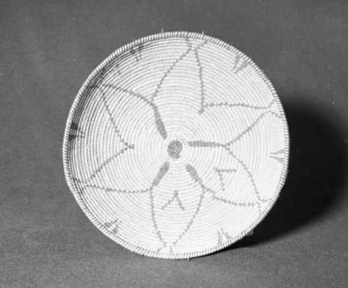 Marie Rozier Collection, Catalog No. 112. Object: Western Apache (?) basket. Dimensions: 3 x 12 1/2". Materials: willow, devil's cloth. Technology: three rod foundation, leftward coil direction, non-interlocking stitching. Collection History: Alice Reade Collection. Photographed by Michael Dixon, December 1982. Catalogued by Craig Bates and Barbara Beroza. Yosemite Collections, National Park Service.