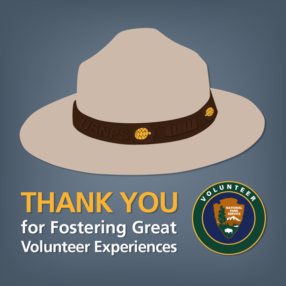 An electronic card graphic with the words "Thank You for Fostering Great Volunteer Experiences" against a light blue background. Above the words is a graphic of a tan park ranger had with a dark brown band with gold cone emblems. To the right of the words is a circular logo with the NPS arrowhead and the word "Volunteer."