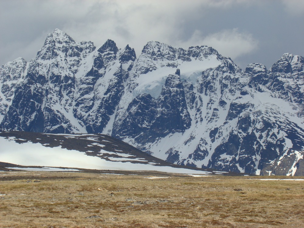 a brown field leading up to a snowy and rocky mountain